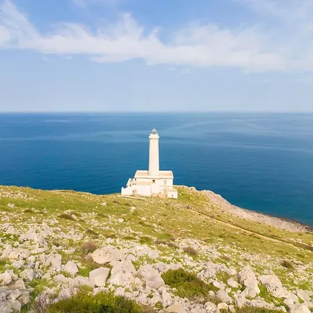 Laura In Centro شقة