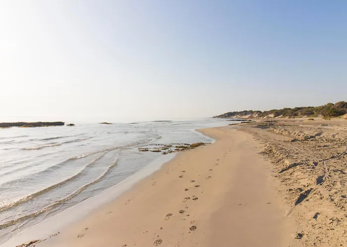 Apartament Laura In Centro